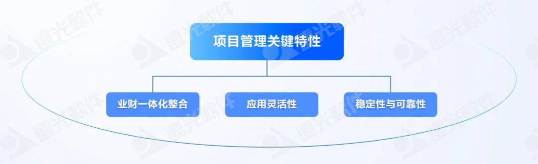 DAP专题 | 项目管理：集团企业的高效运营引擎