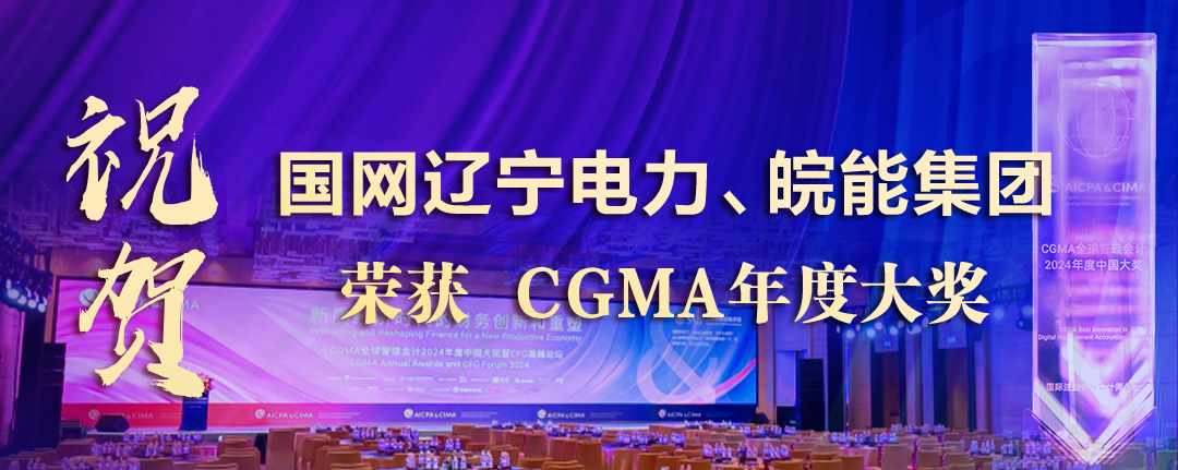 祝贺国网辽宁电力、皖能集团荣获“财界奥斯卡”CGMA年度大奖